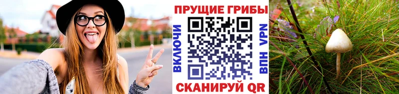 даркнет сайт Чудово omg маркетплейс Галлюциногенные грибы прущие грибы